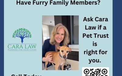 Planning for Your Pet